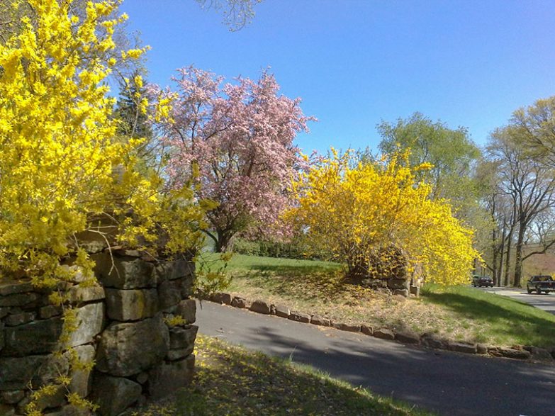 Die Natur wird pastellfarben