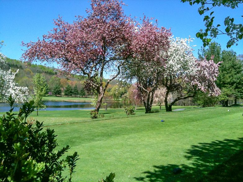 Der Frühling klopft an