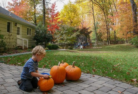 Unser „Herbstgarten“: Paul beim „Kürbisschrubben“