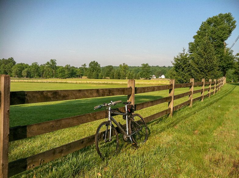 Erholungsgebiet mit Parks und Naturreservaten