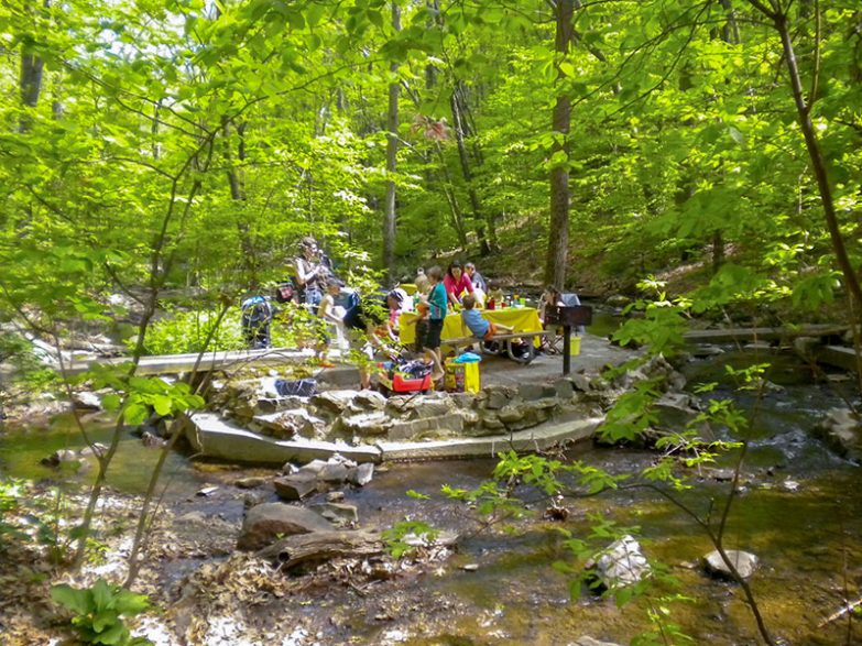 Picknick mitten im Wald