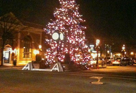 Endlich: der erste Weihnachtsbaum!