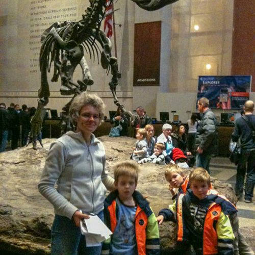 Bei den Dinos in New York