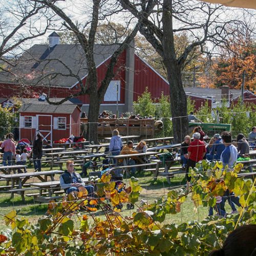 Abenteuer auf der Kürbisfarm