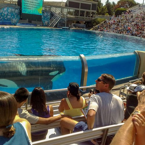 Zur Erholung gibt`s SeaWorld