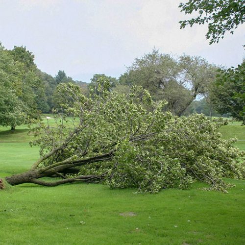 Golfspielen unmöglich