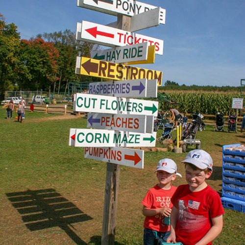 Pumpkin picking mit der family