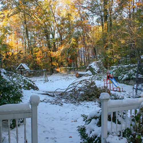 Chaos im Garten