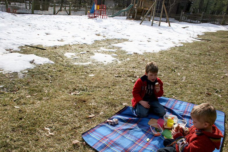 Das erste Frühlingseis in der Sonne