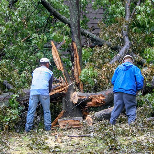 Sägeaktion nach Irene