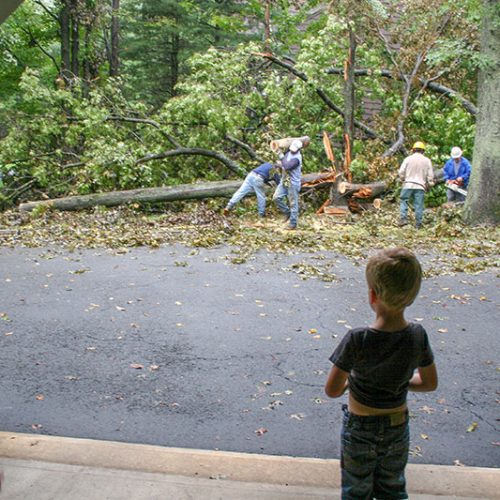 Die Kids schauen den Tree-Guys zu