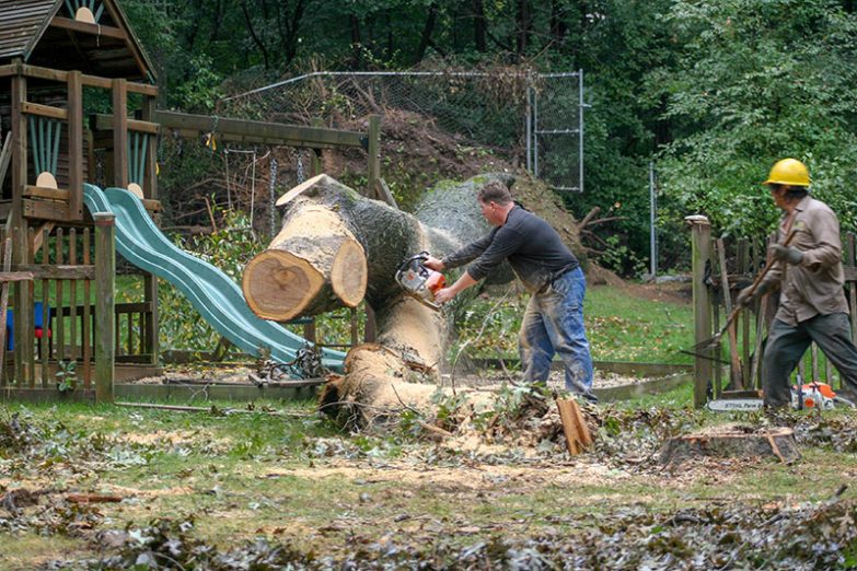 Sägeaktion nach Irene