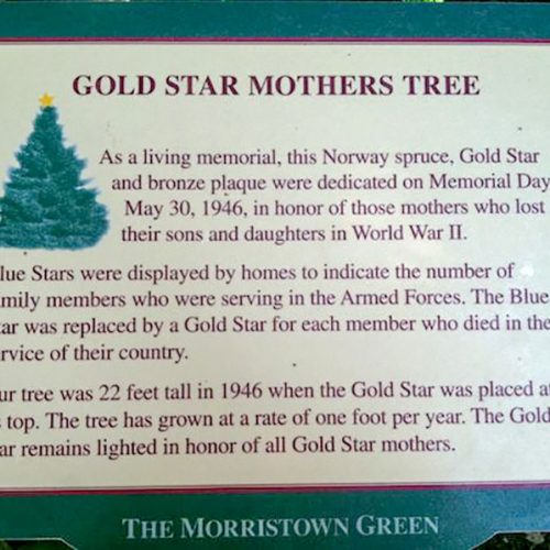 Informationen über den Gold Star Mother Tree