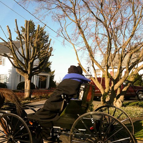 Amish in Pennsylvania