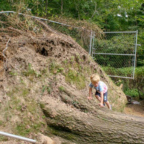 Paul und die Kraft der Natur