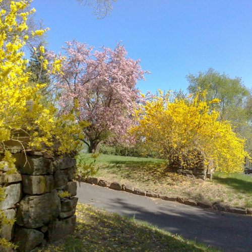 Der Frühling macht gute Laune