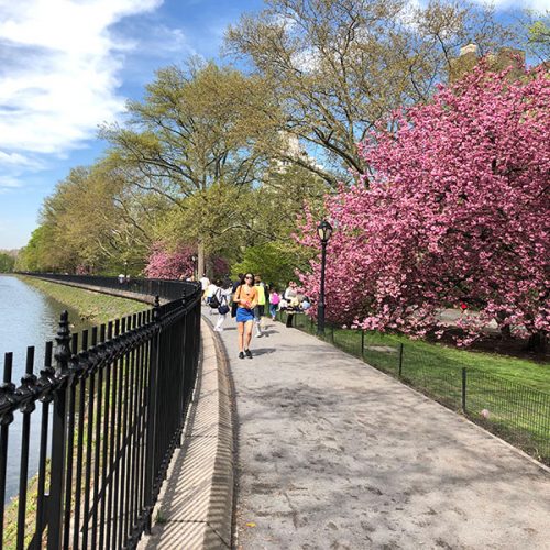 Pastellfarben im Frühling