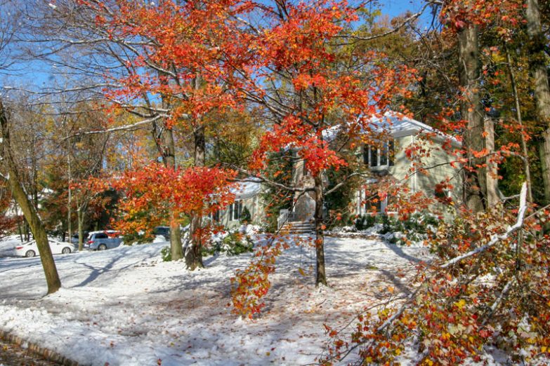 Schneesturm trifft auf Indian Summer