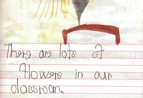 There are lots of flowers in our classroom